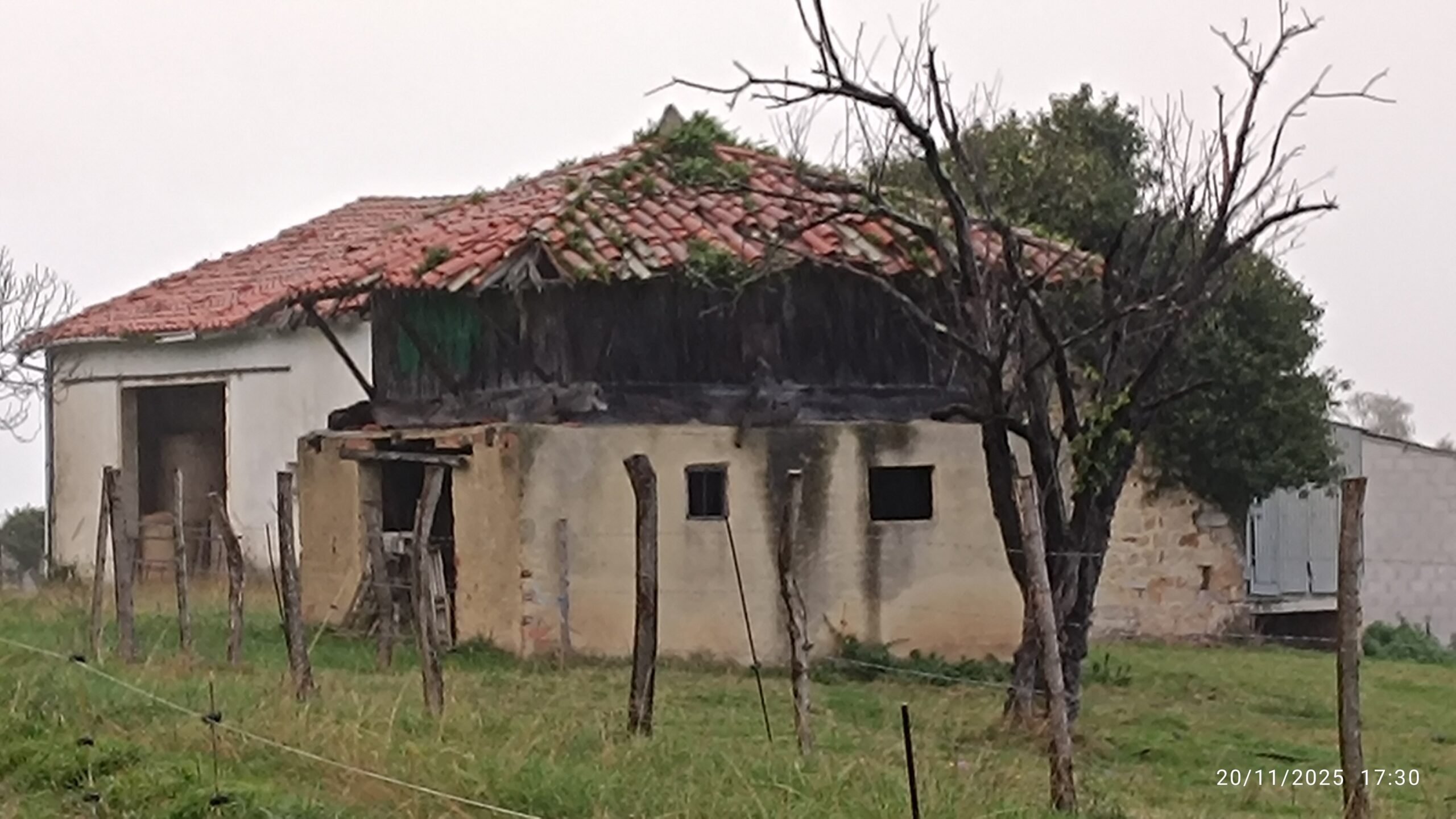 semeya-20.11.2025-7-horru.02.LaOlla-Xixón-