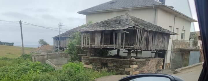 semeya-26.08.2025-1-horru.Soirana-Navia-