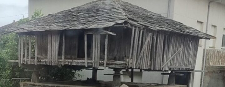 semeya-26.08.2025-1-horru.Soirana-Navia-485×300