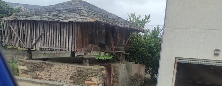 semeya-26.08.2025-2-horru.Soirana-Navia-