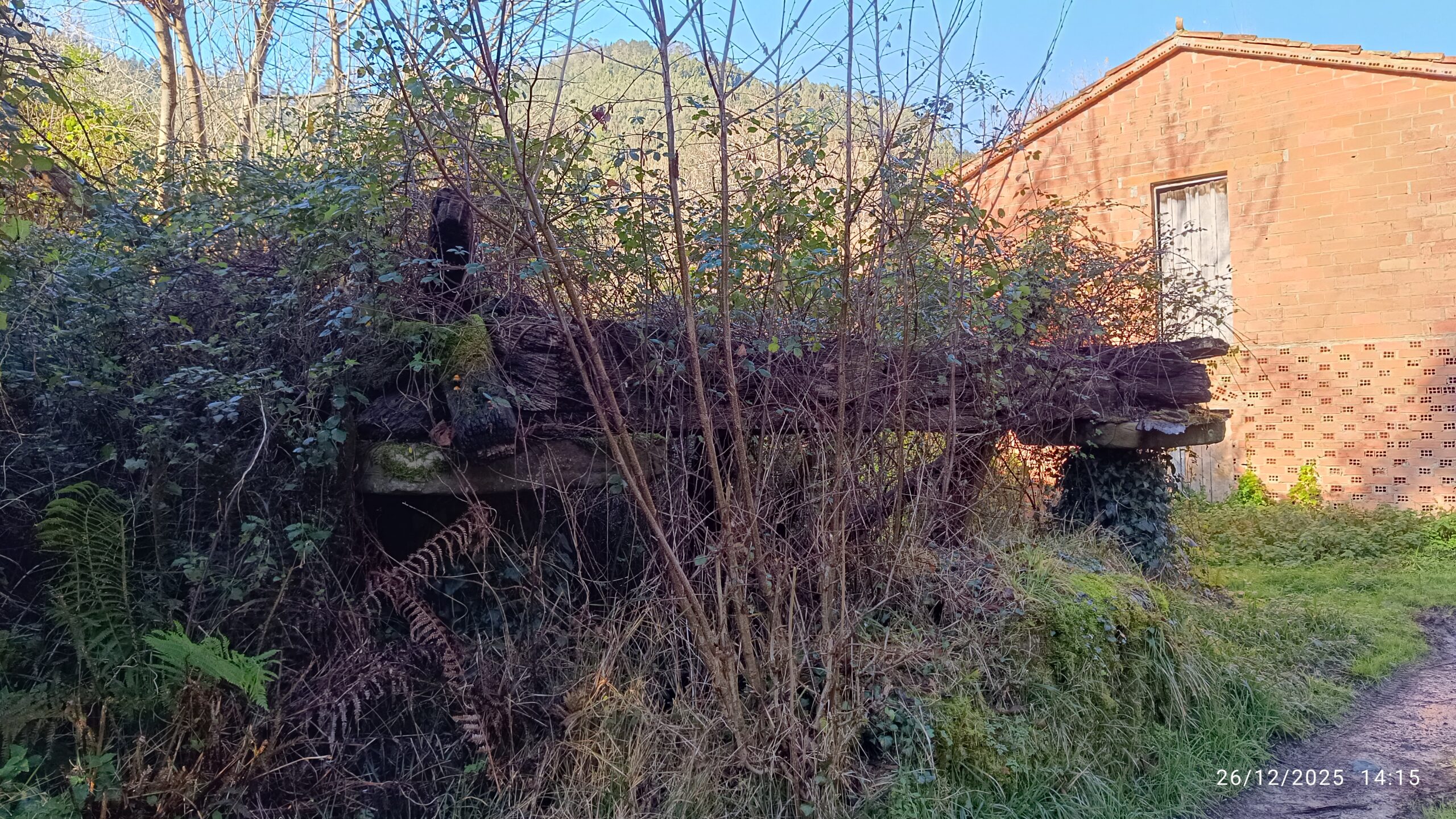 semeya-26.12.2025-2-horru.01.LaGüelga-Rozaes-Villaviciosa-