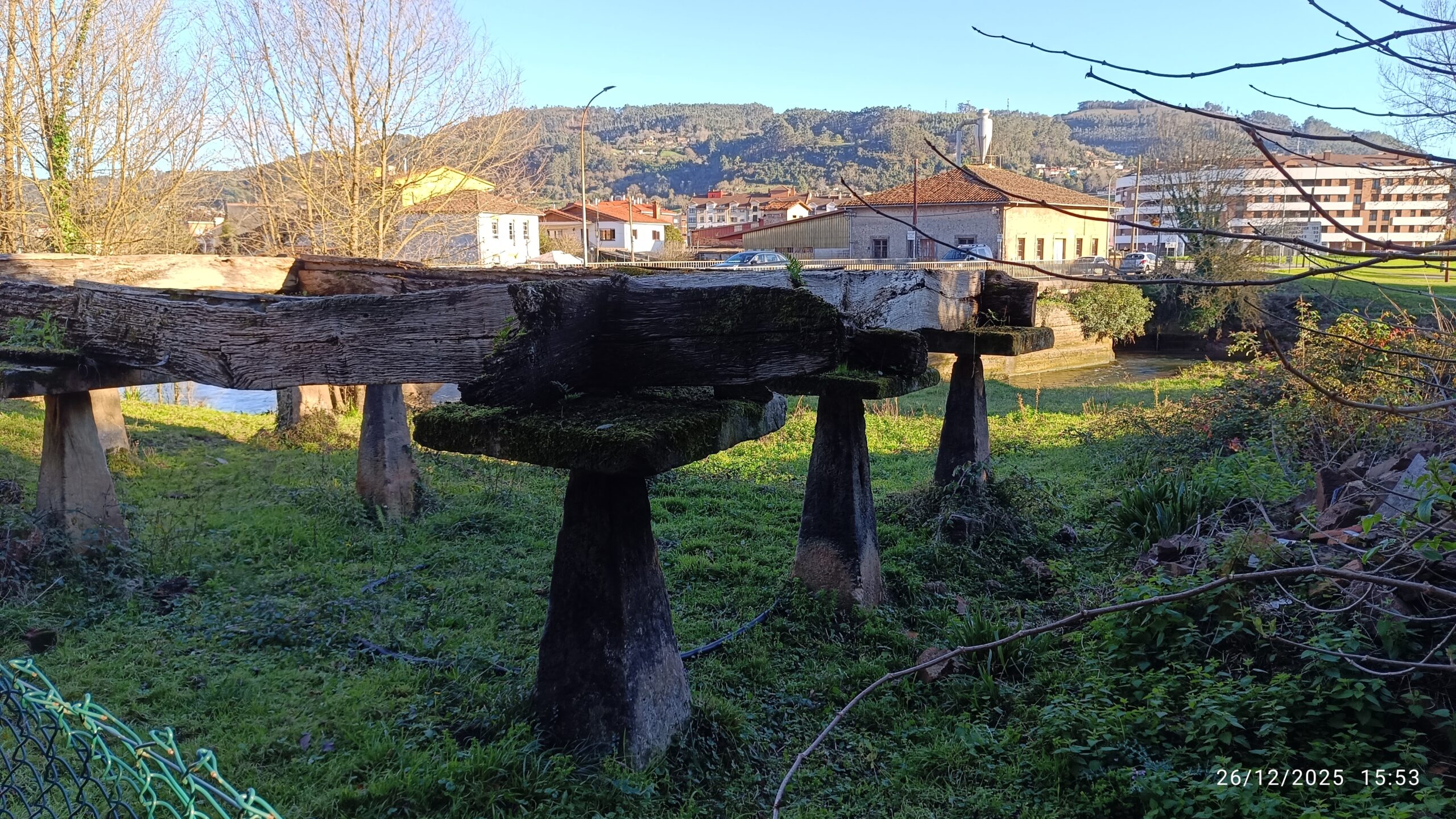 semeya-26.12.2025-5-panera.ElPunteGüetes-Villaviciosa-Villaviciosa-