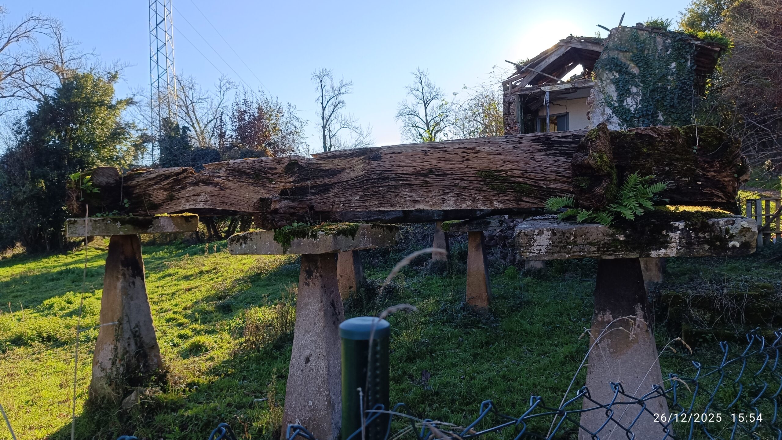 semeya-26.12.2025-6-panera.ElPunteGüetes-Villaviciosa-Villaviciosa-