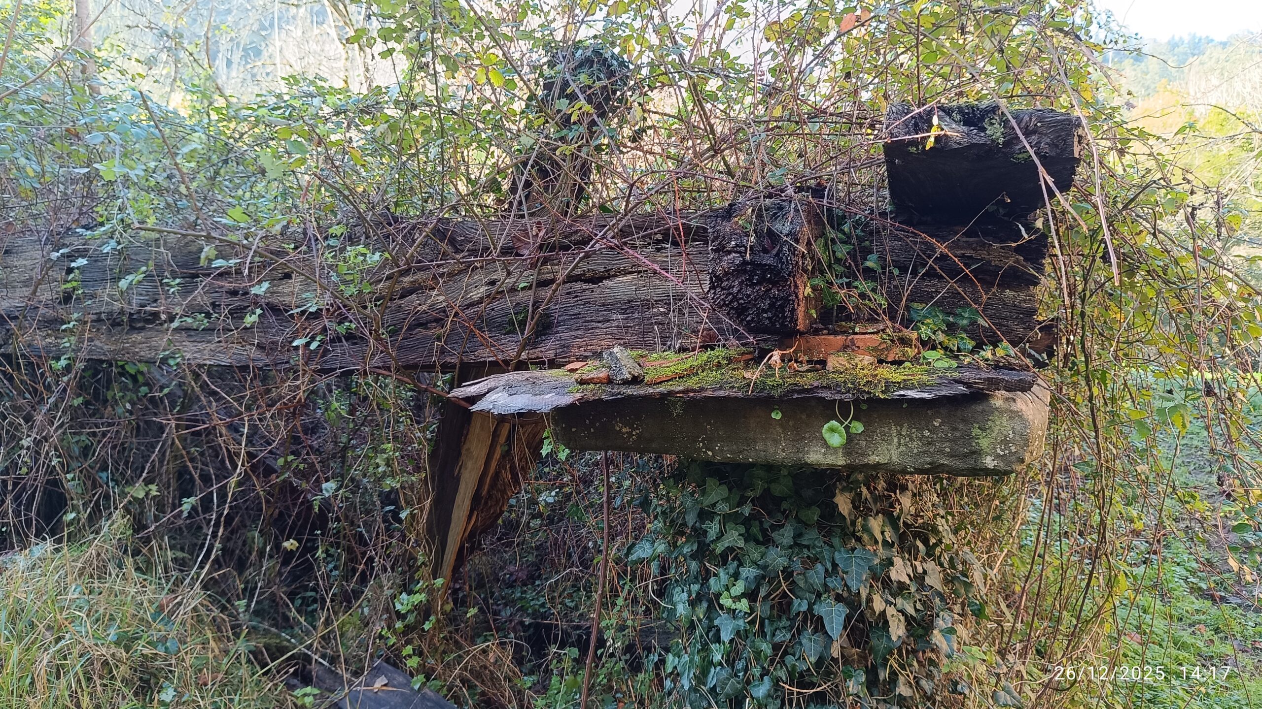 semeya-26.12.2025-7-horru.01.LaGüelga-Rozaes-Villaviciosa-