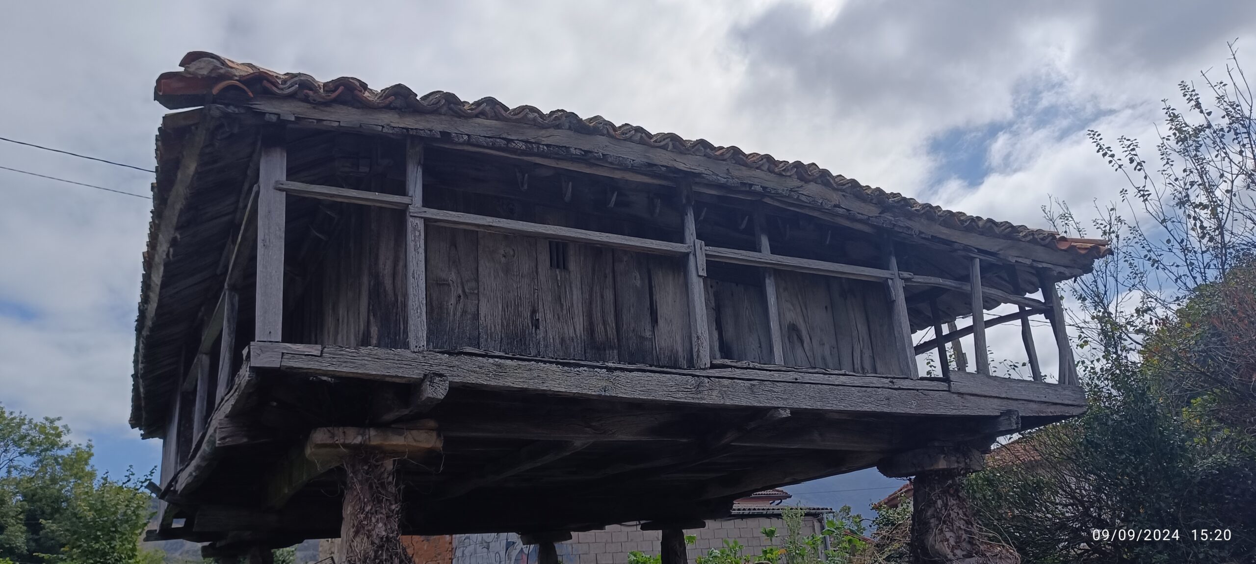 semeya-3-panera.01.Bixega-Miranda-09.09.2024