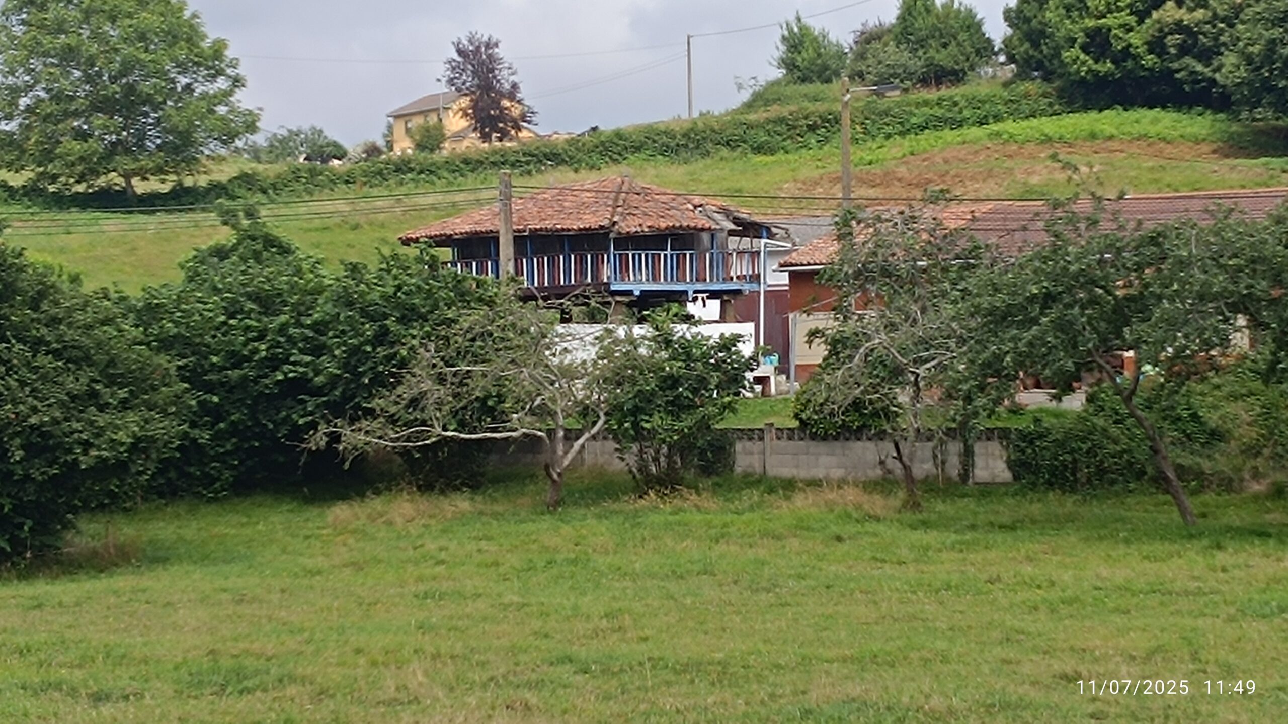 semeya-3-panera.Pruvia-Llanera-11.07.2025