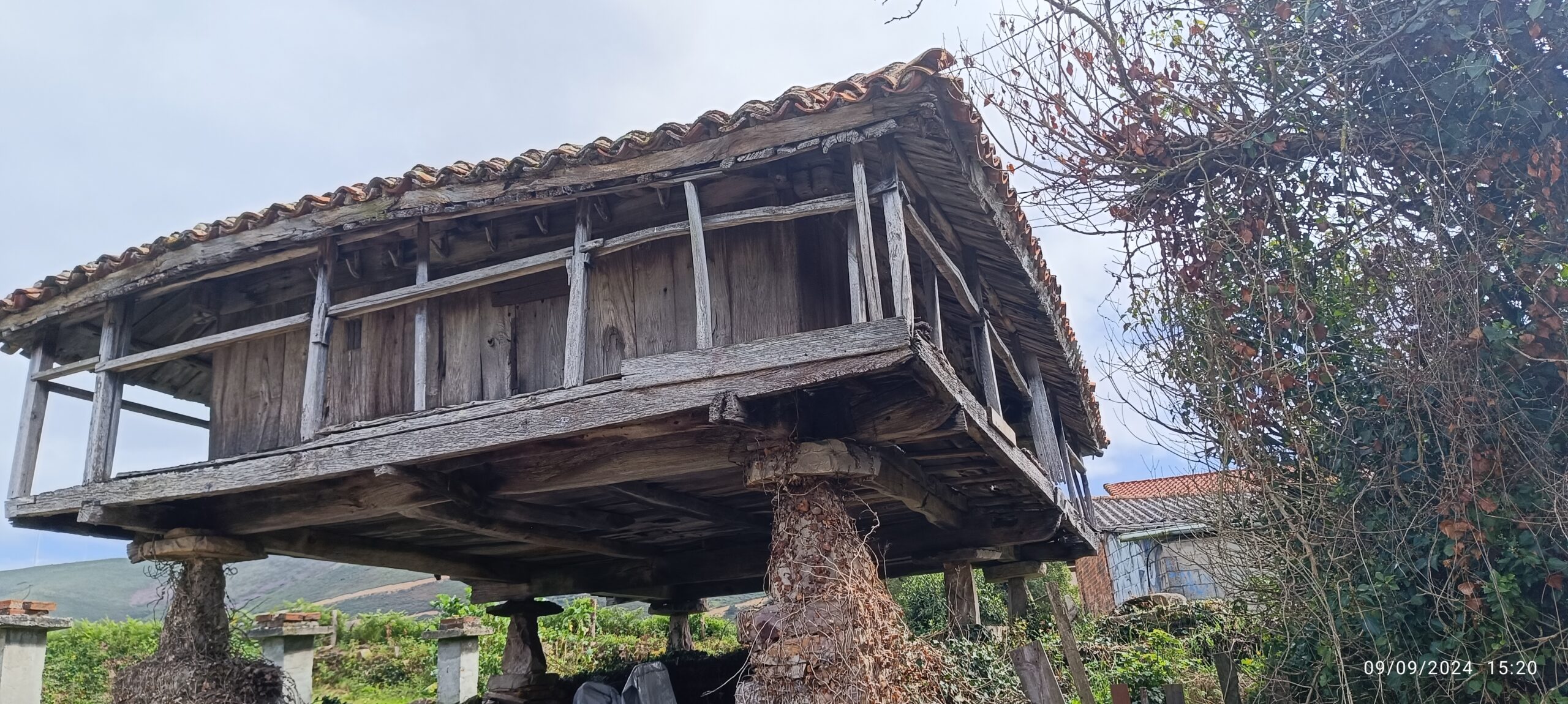 semeya-4-panera.01.Bixega-Miranda-09.09.2024