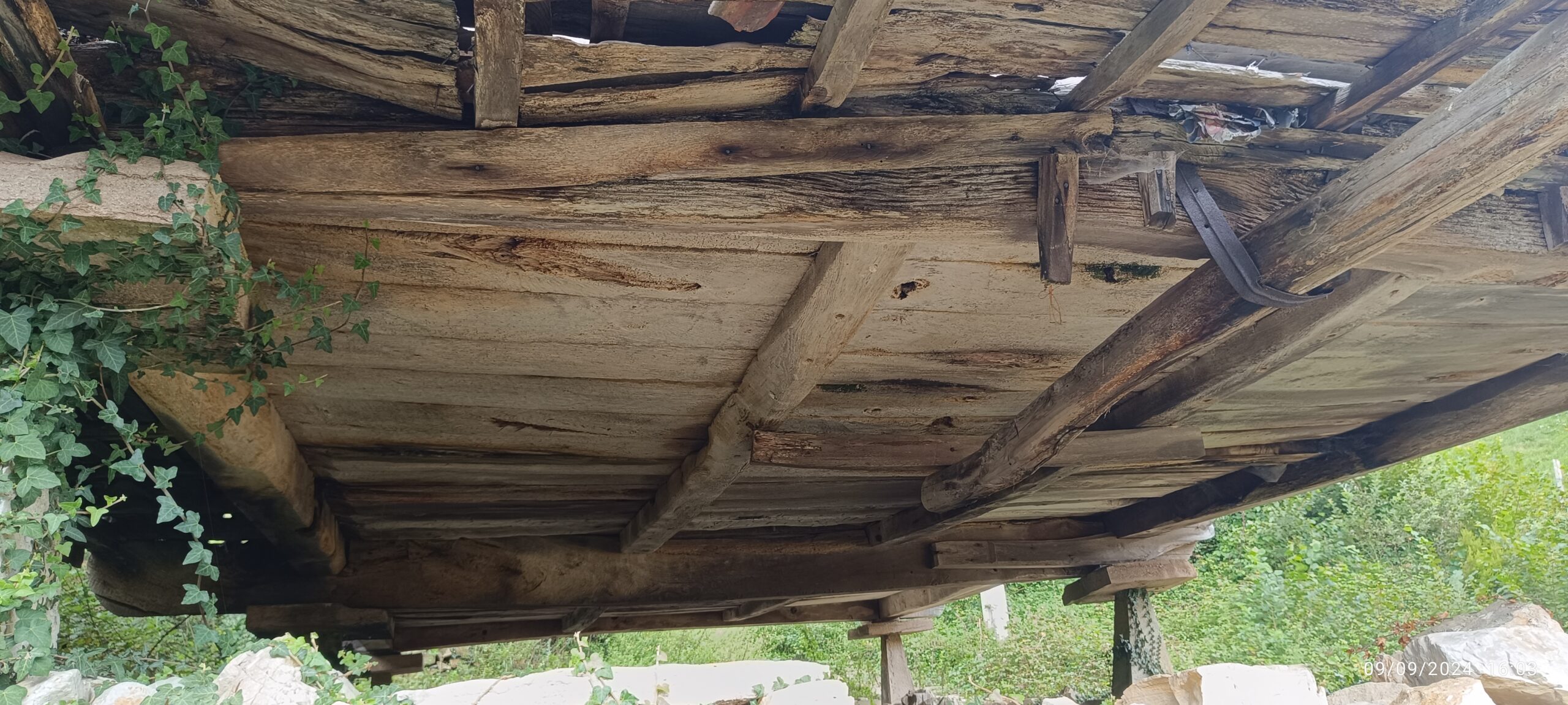 semeya-4-panera.02.LasEstacas-Miranda-09.09.2024