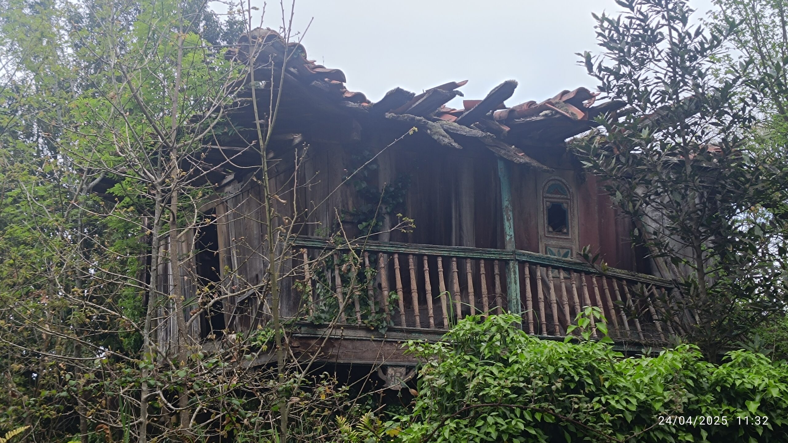 semeya-4-panera.CaPin-Andorcio-Llanera-24.04.2025