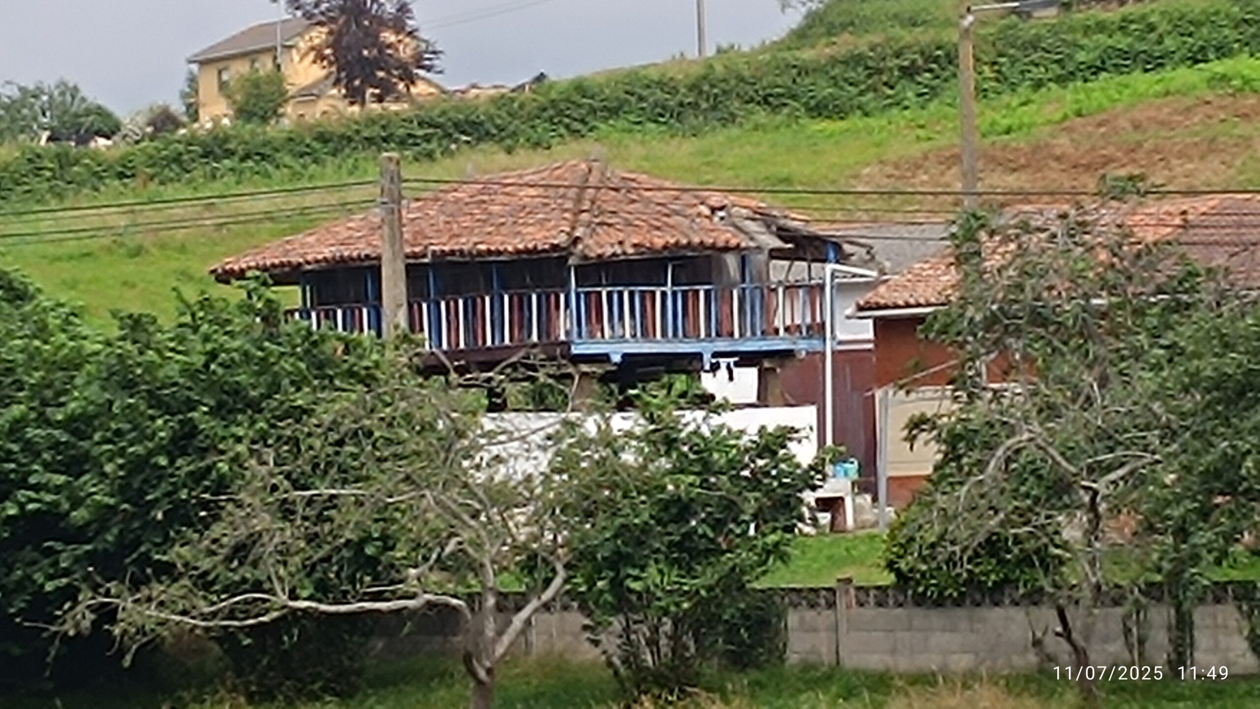 semeya-4-panera.Pruvia-Llanera-11.07.2025