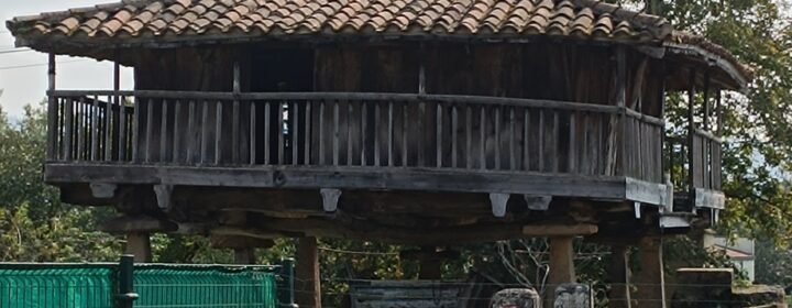 semeya-4-panera.Reguera-Noreña-19.09.2024-1700×1400