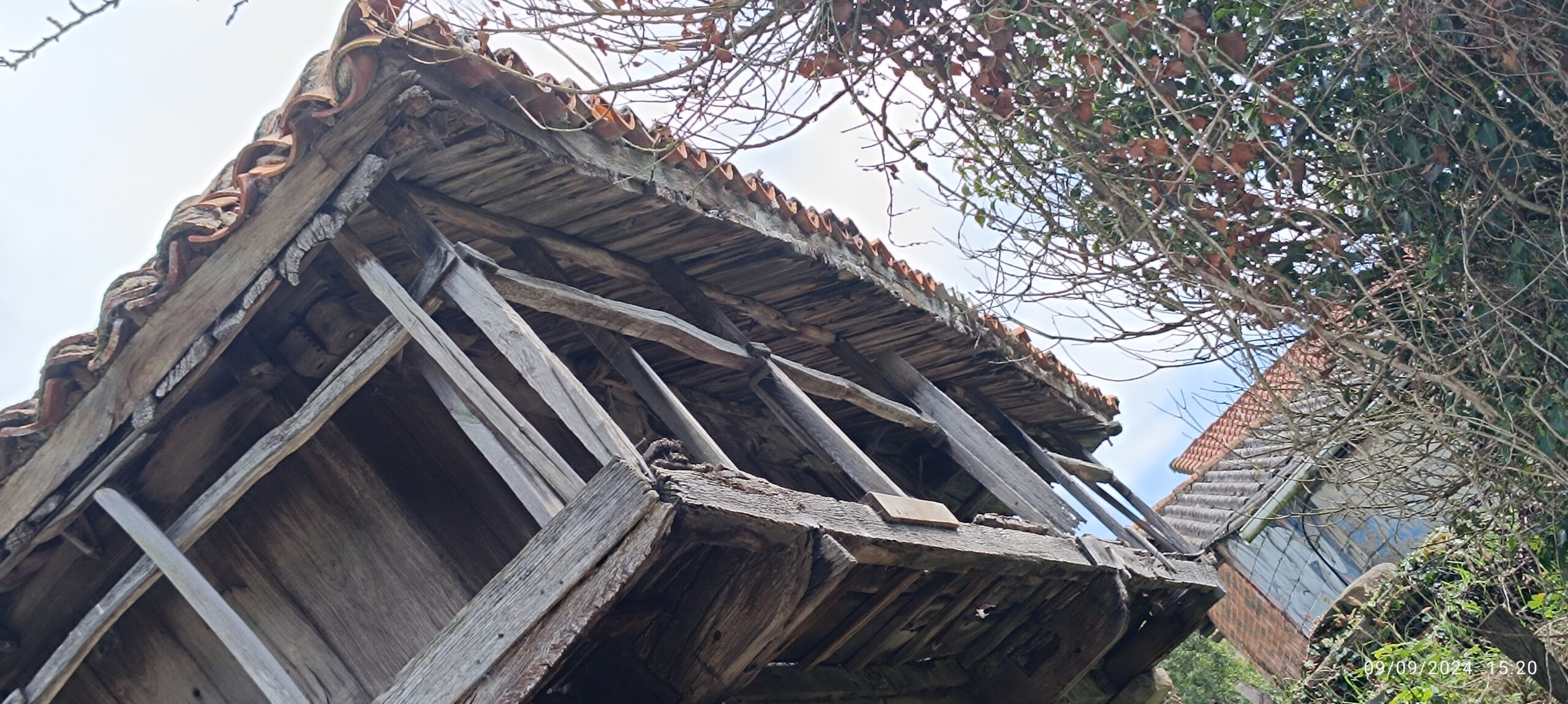 semeya-5-panera.01.Bixega-Miranda-09.09.2024