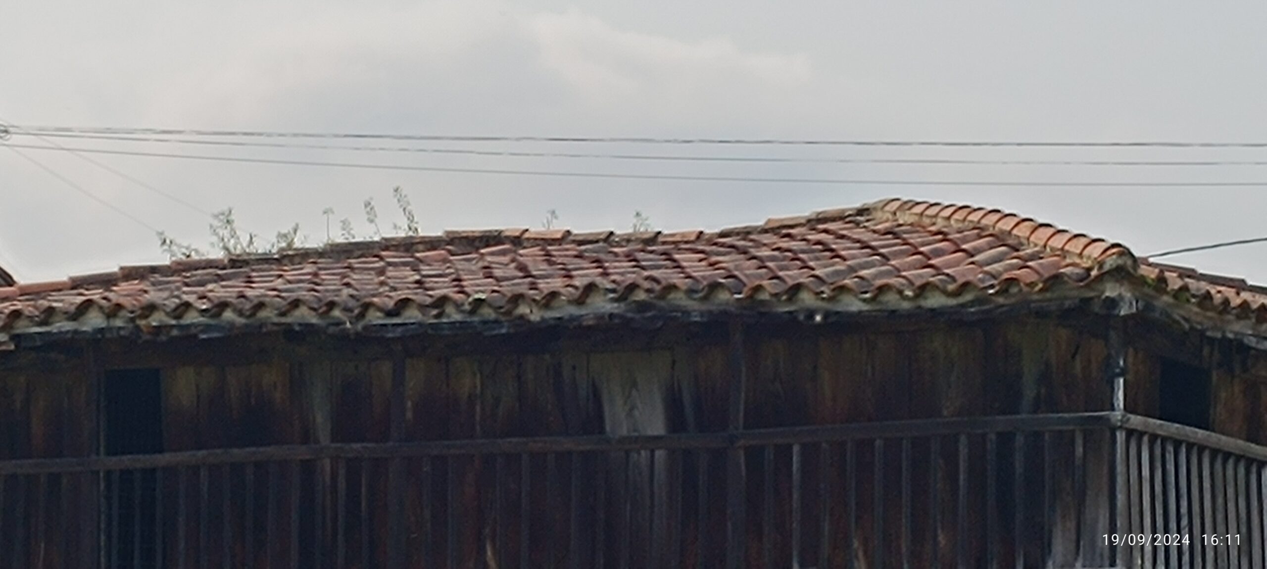 semeya-5-panera.Reguera-Noreña-19.09.2024