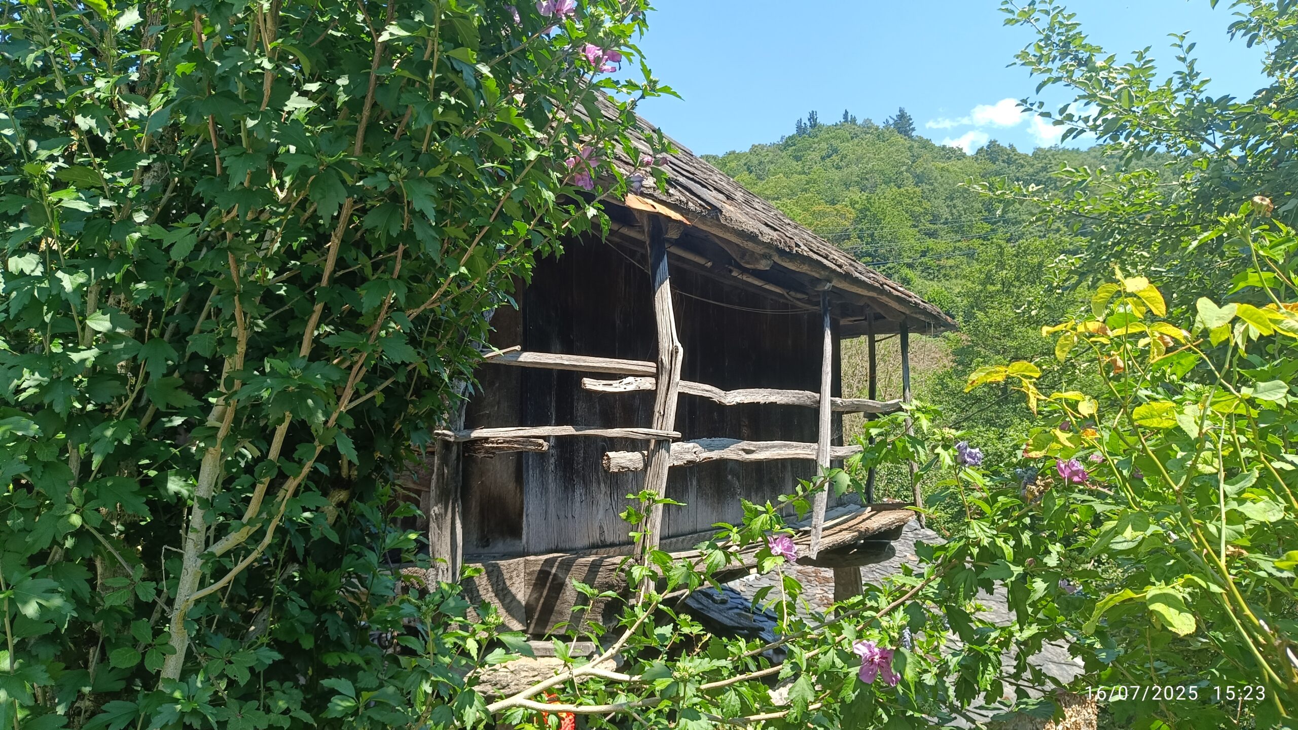 semeya-6-panera.ElPueblu-VeigadeRengos-Cangas-16.07.2025