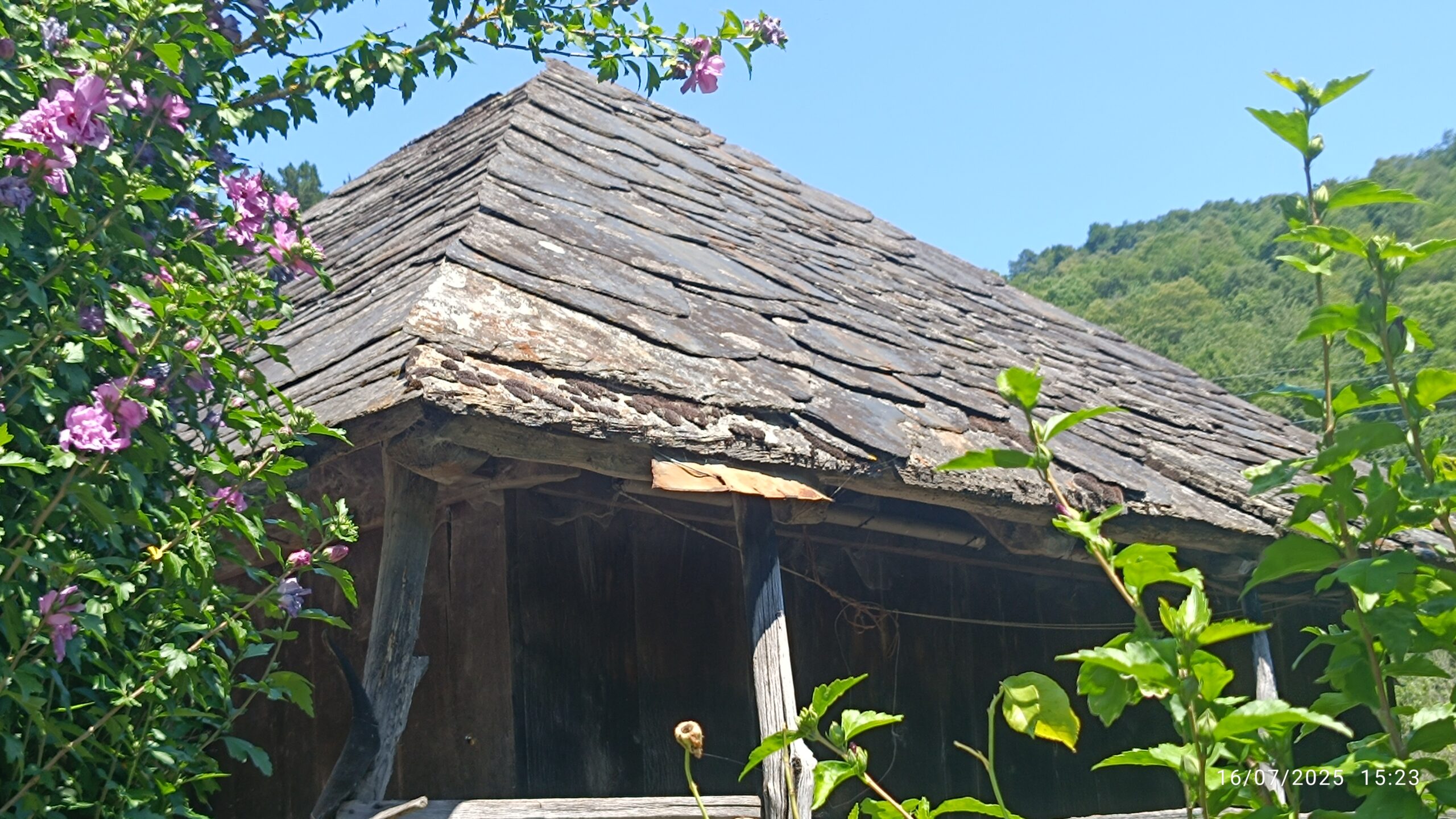 semeya-7-panera.ElPueblu-VeigadeRengos-Cangas-16.07.2025