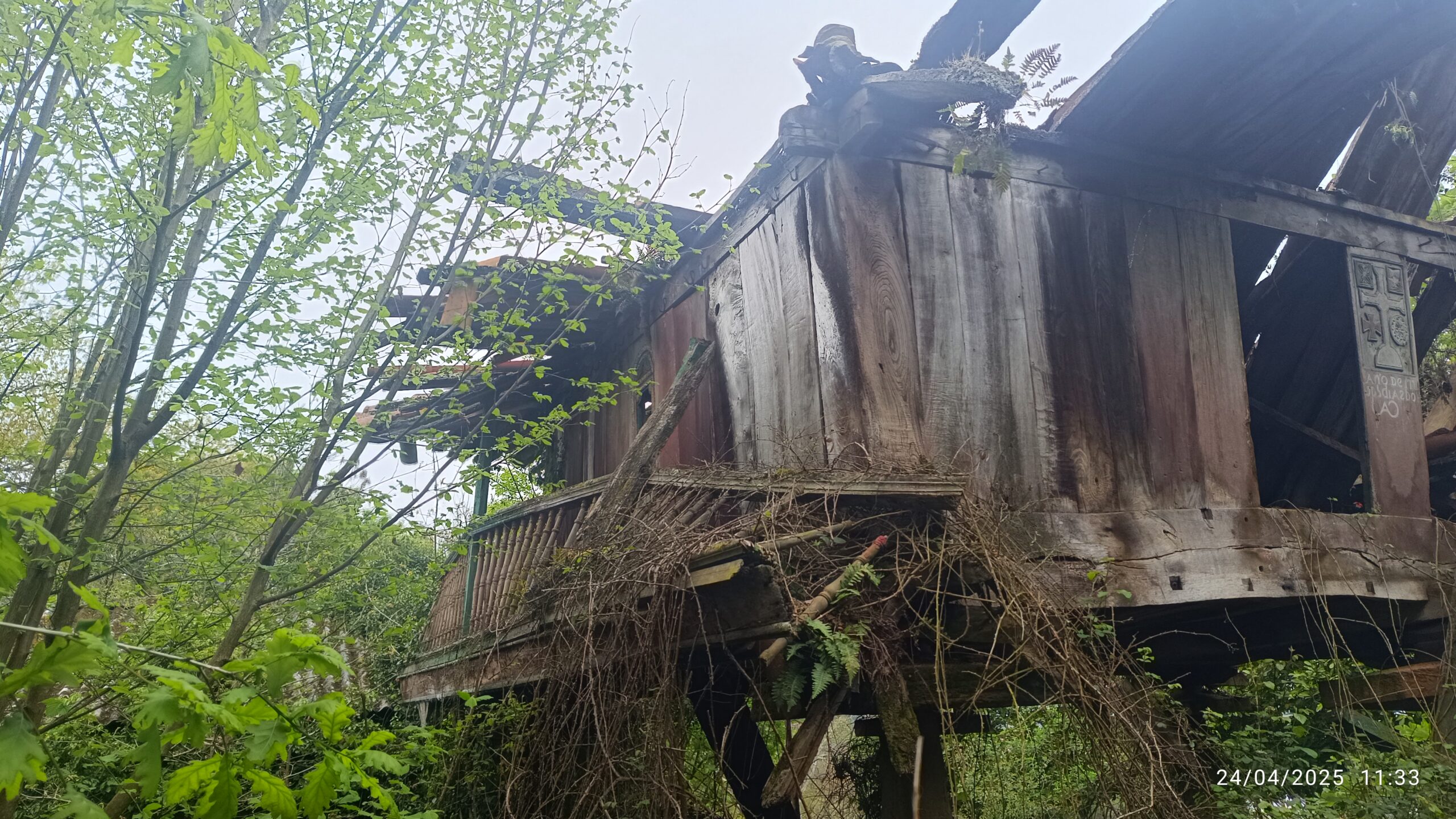 semeya-8-panera.CaPin-Andorcio-Llanera-24.04.2025