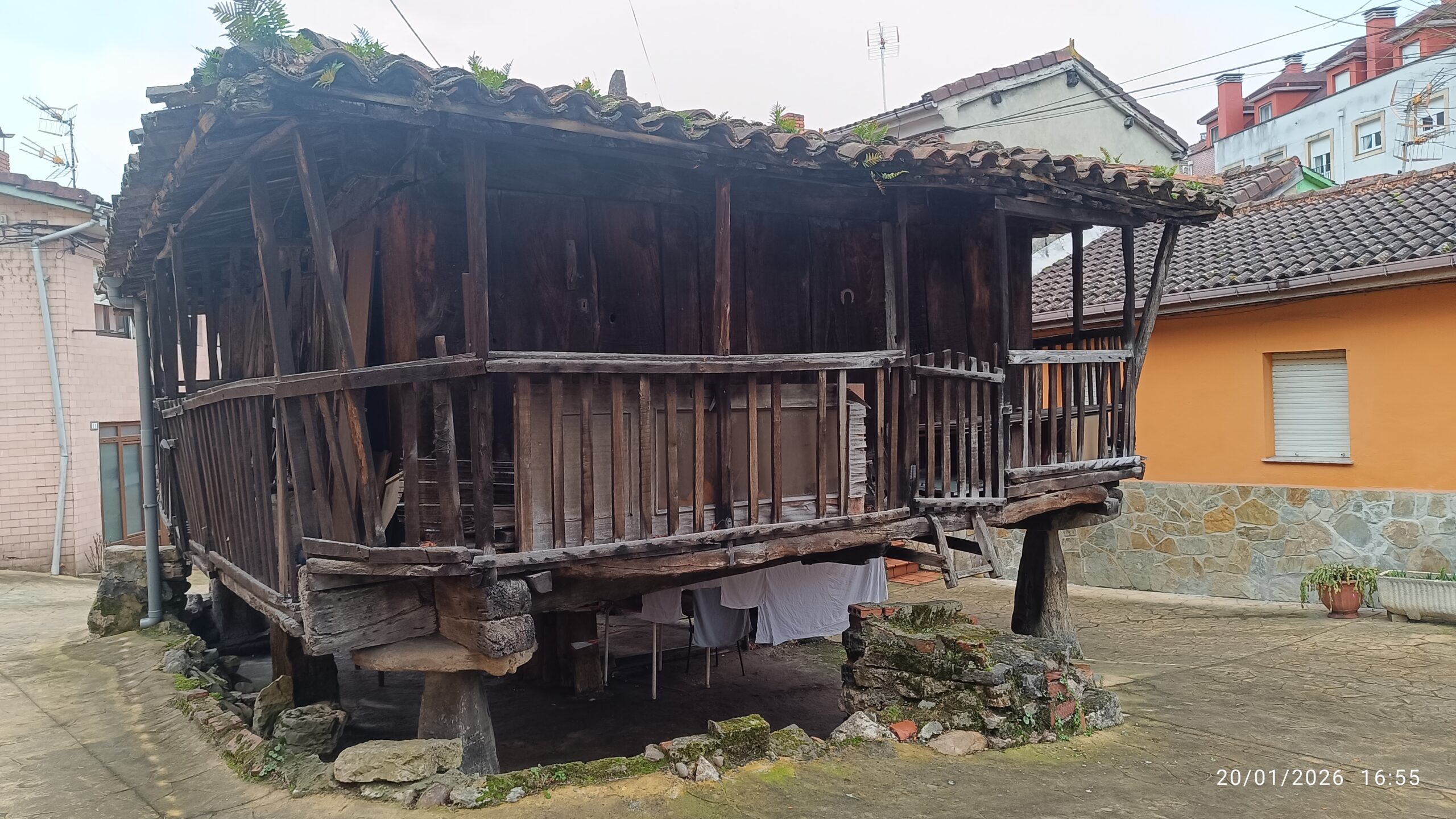 semeya-02.01.2026-4-panera.02.Lluniego-Uviéu-