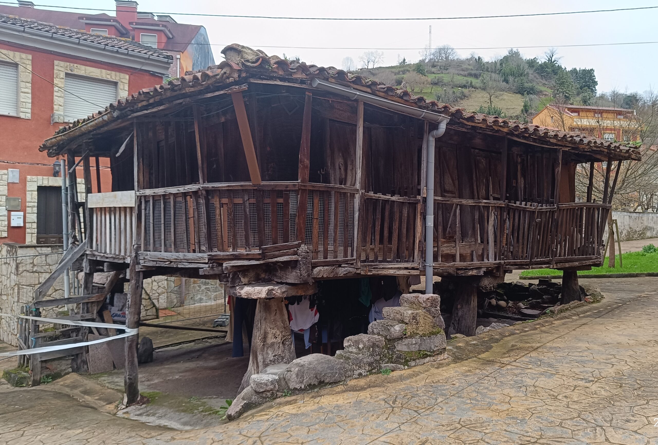 semeya-02.01.2026-5-panera.02.Lluniego-Uviéu-3400×2300