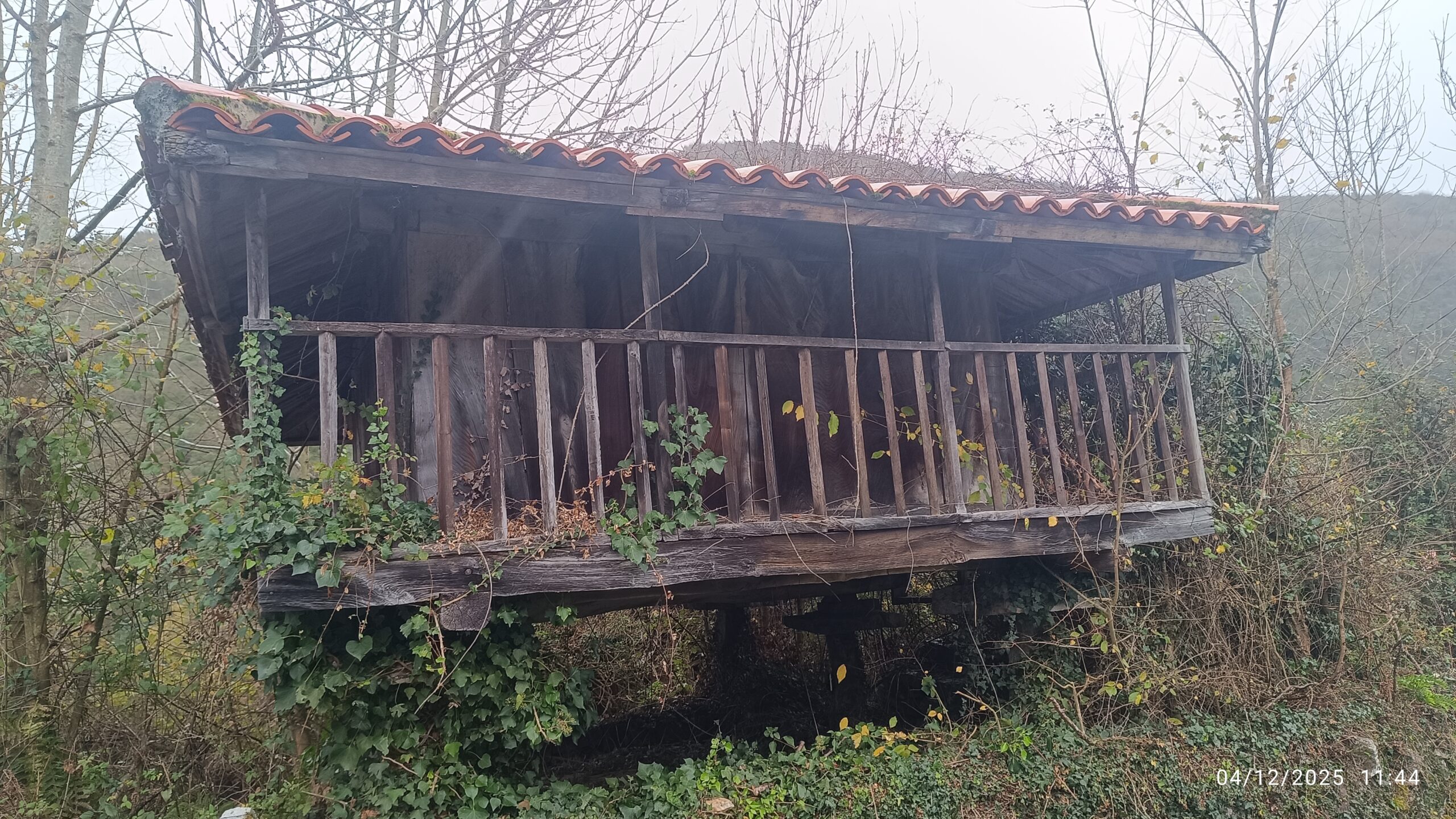 semeya-04.12.2025-3-panera.01.Pozobal-Siones-Uviéu-