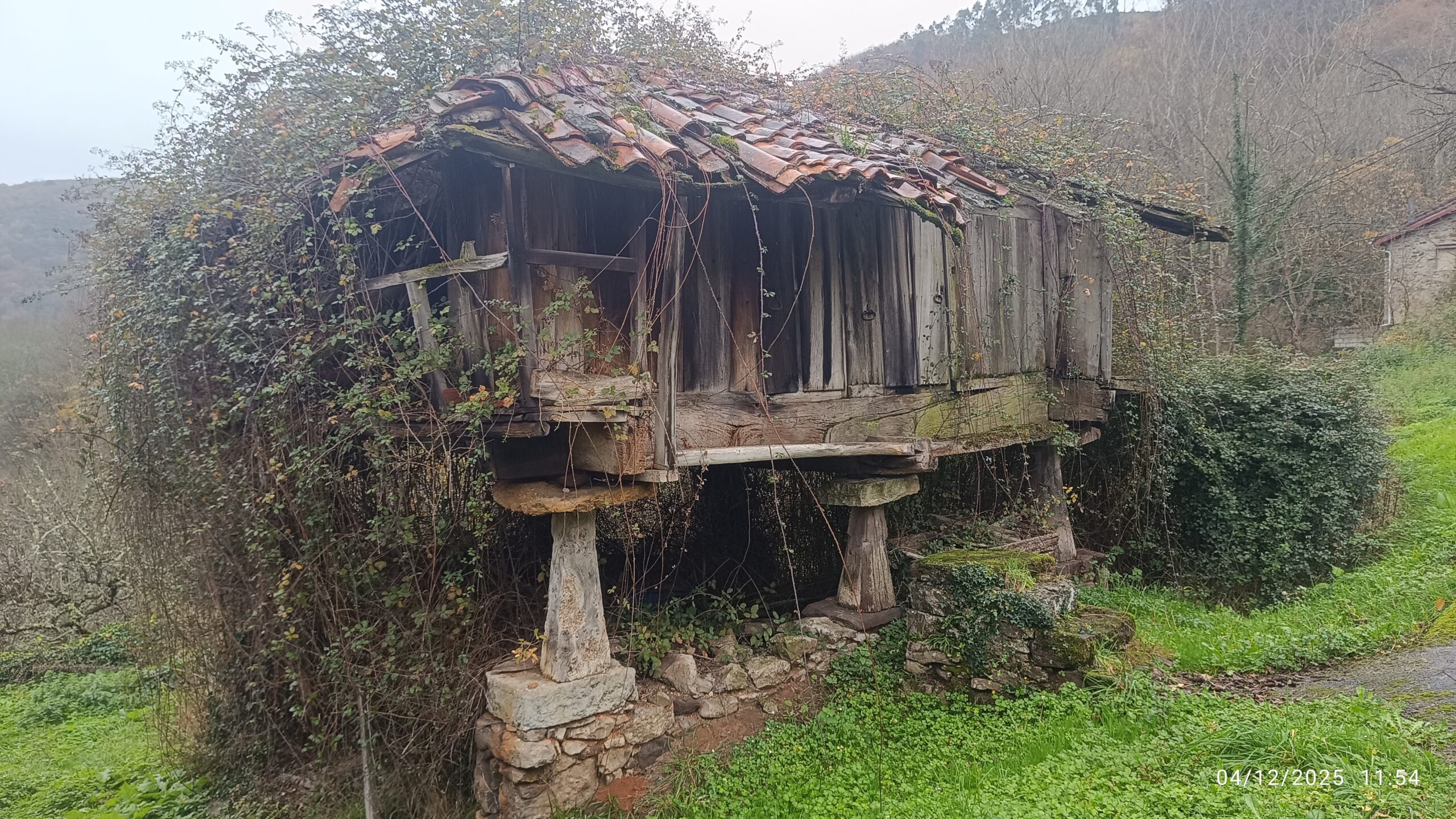 semeya-04.12.2025-4-horru.02.Pozobal-Siones-Uviéu-