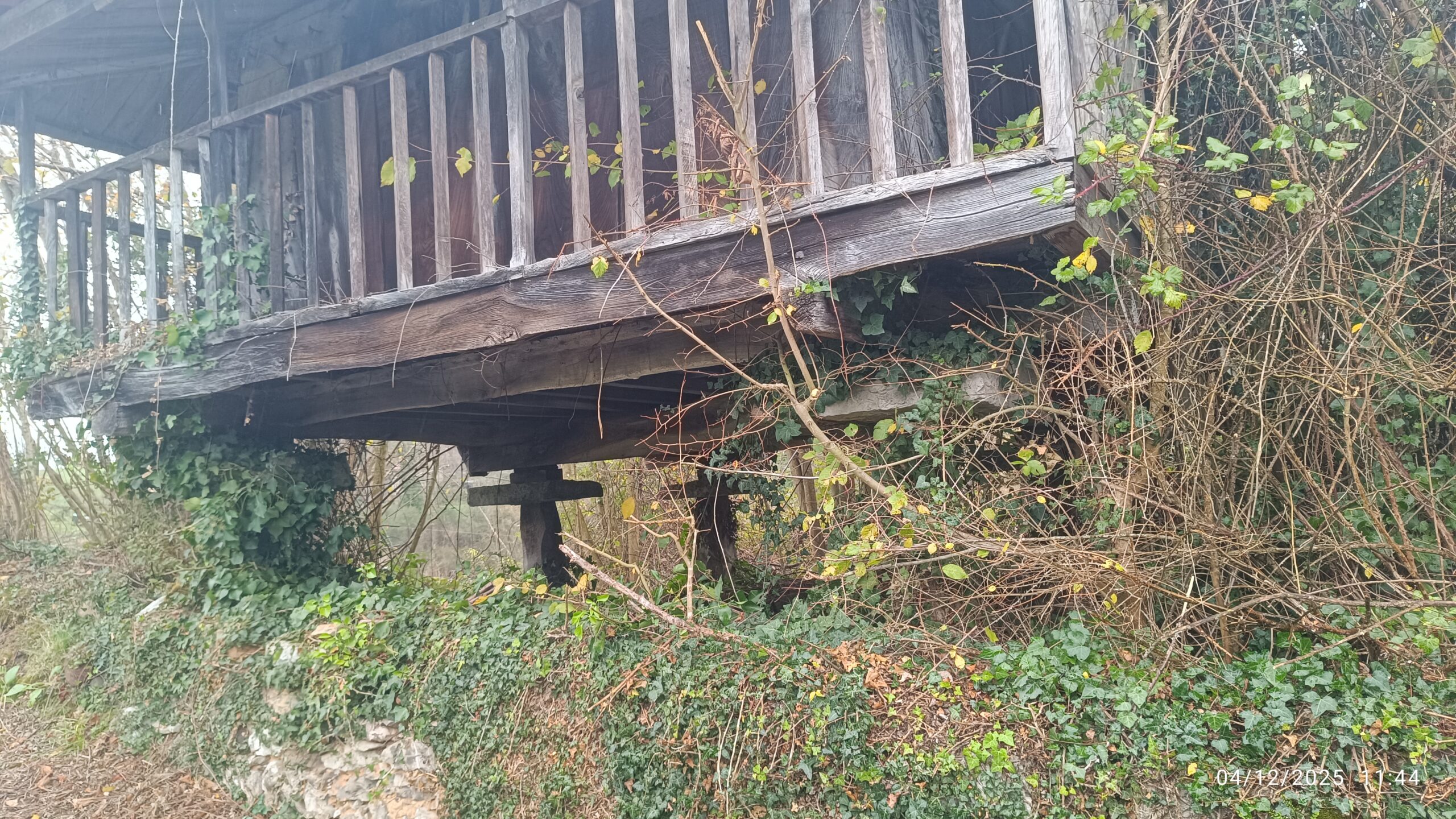 semeya-04.12.2025-5-panera.01.Pozobal-Siones-Uviéu-