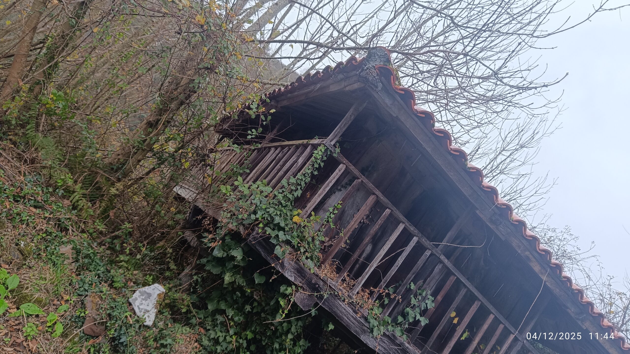 semeya-04.12.2025-6-panera.01.Pozobal-Siones-Uviéu-