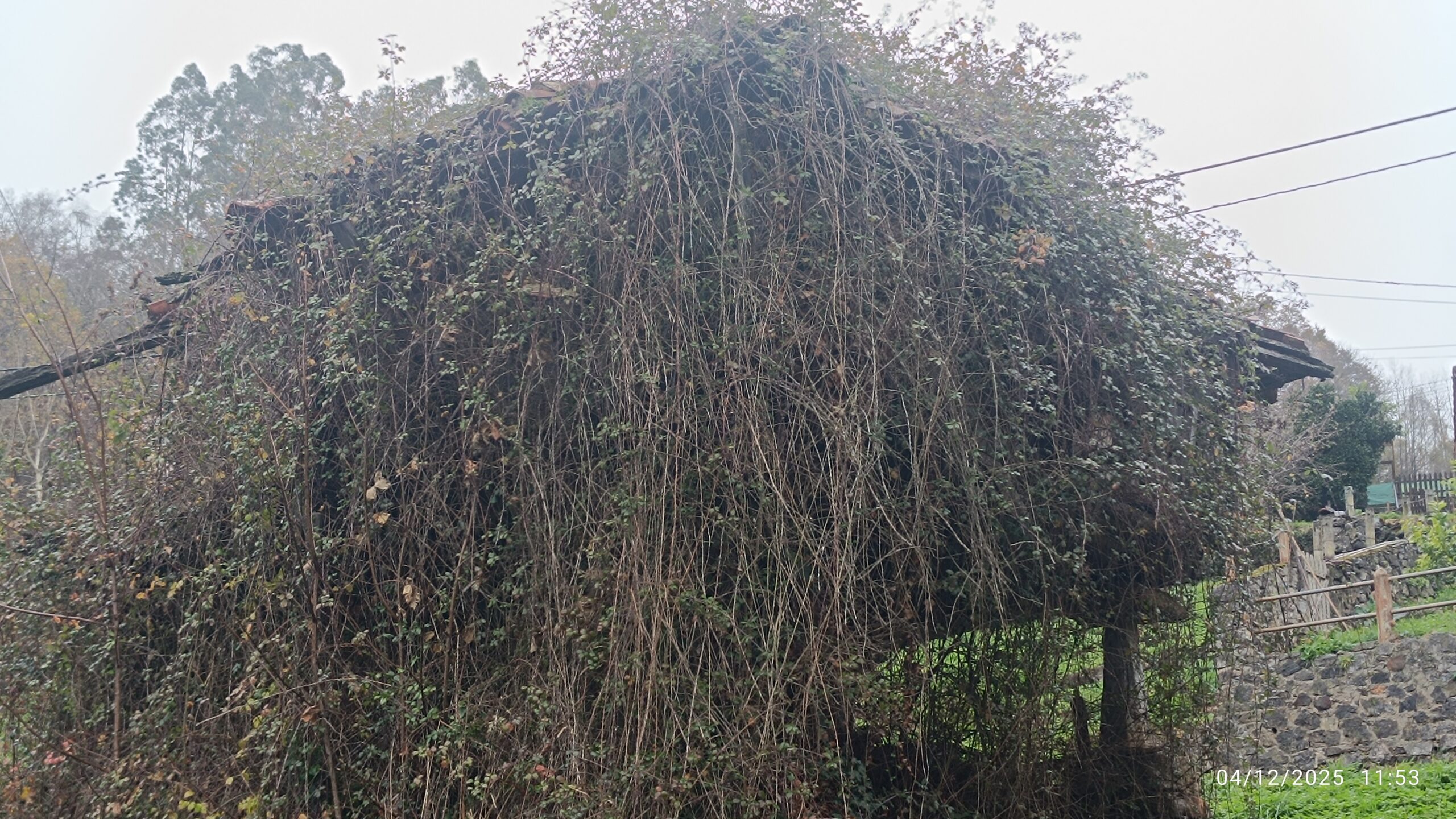 semeya-04.12.2025-7-horru.02.Pozobal-Siones-Uviéu-