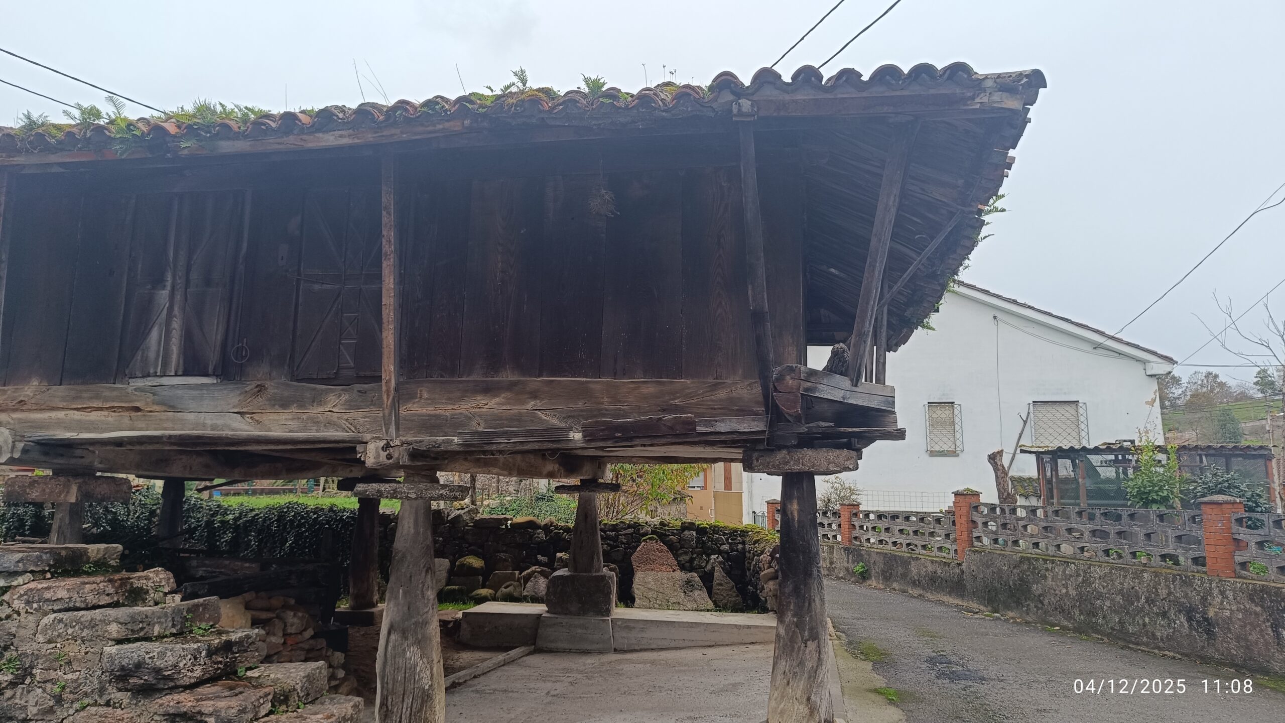 semeya-04.12.2025-7-panera.Bisueña-Caces-Uviéu-