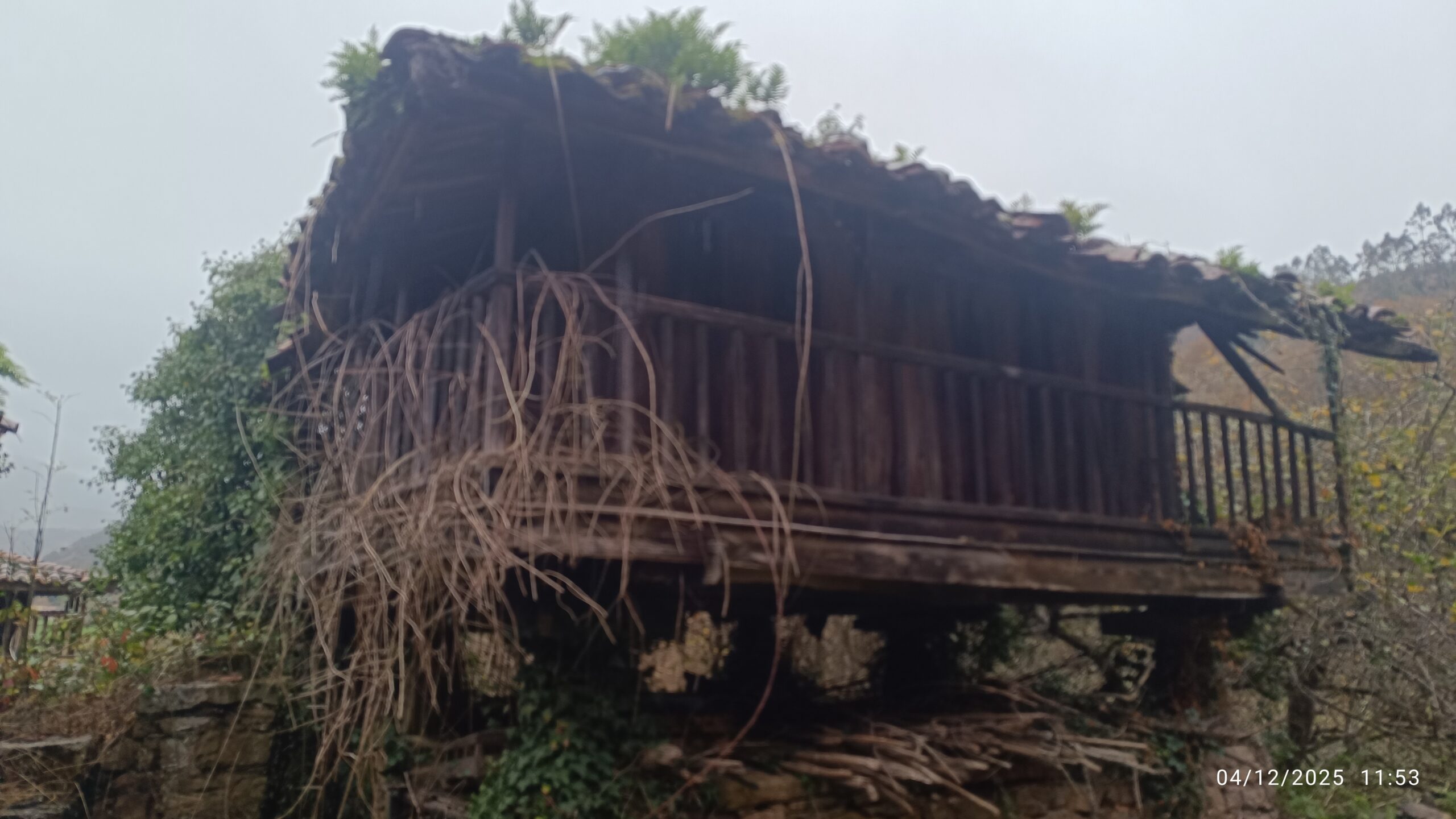 semeya-05-04.12.2025-horru.01.Pozobal-Siones-Uviéu-