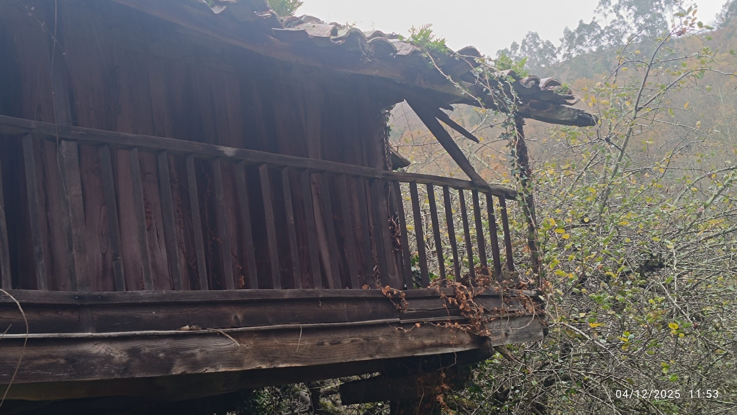 semeya-07-04.12.2025-horru.01.Pozobal-Siones-Uviéu-