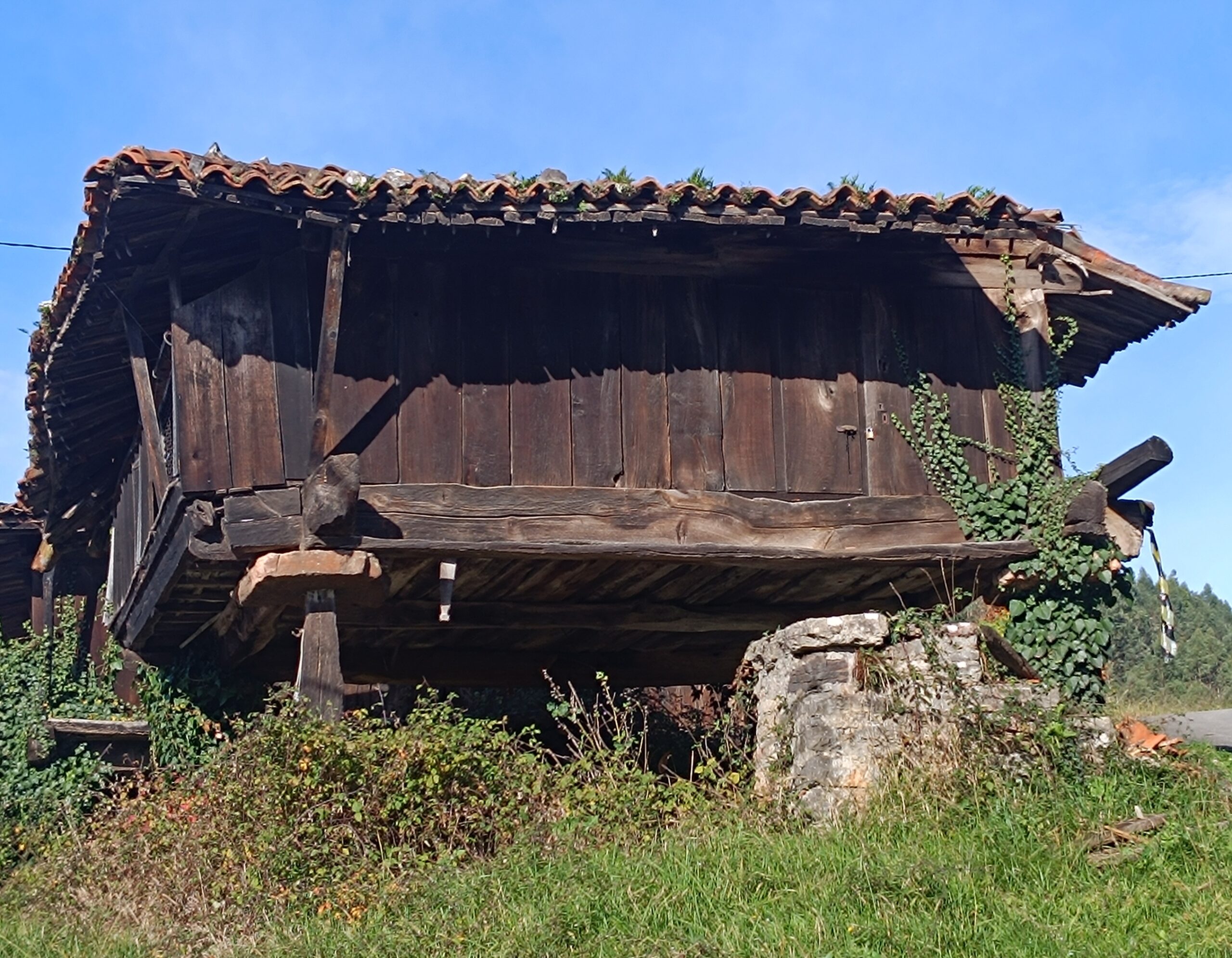 semeya-08.12.2025-3-horru.04.SanRomán-Candamu-2700×2100