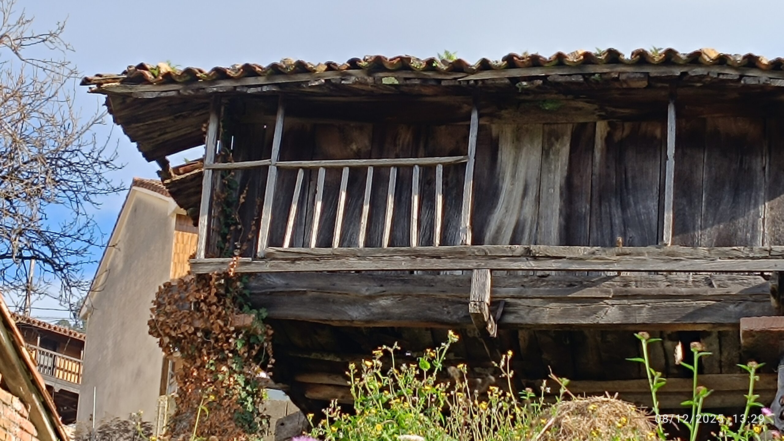 semeya-08.12.2025-6-horru.01.SanRomán-Candamu-