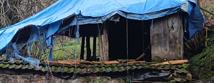 semeya-20.01.2026-3-horru.LosBarreros-Llaviana-2300×1900