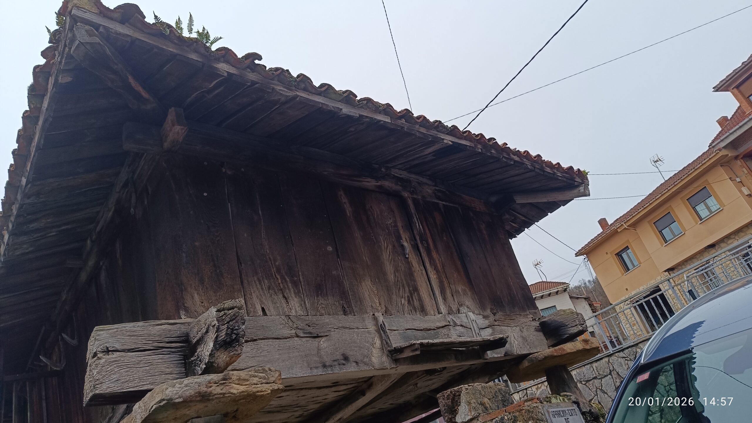 semeya-07-20.01.2026-panera.02.Tabayes-Bimenes-