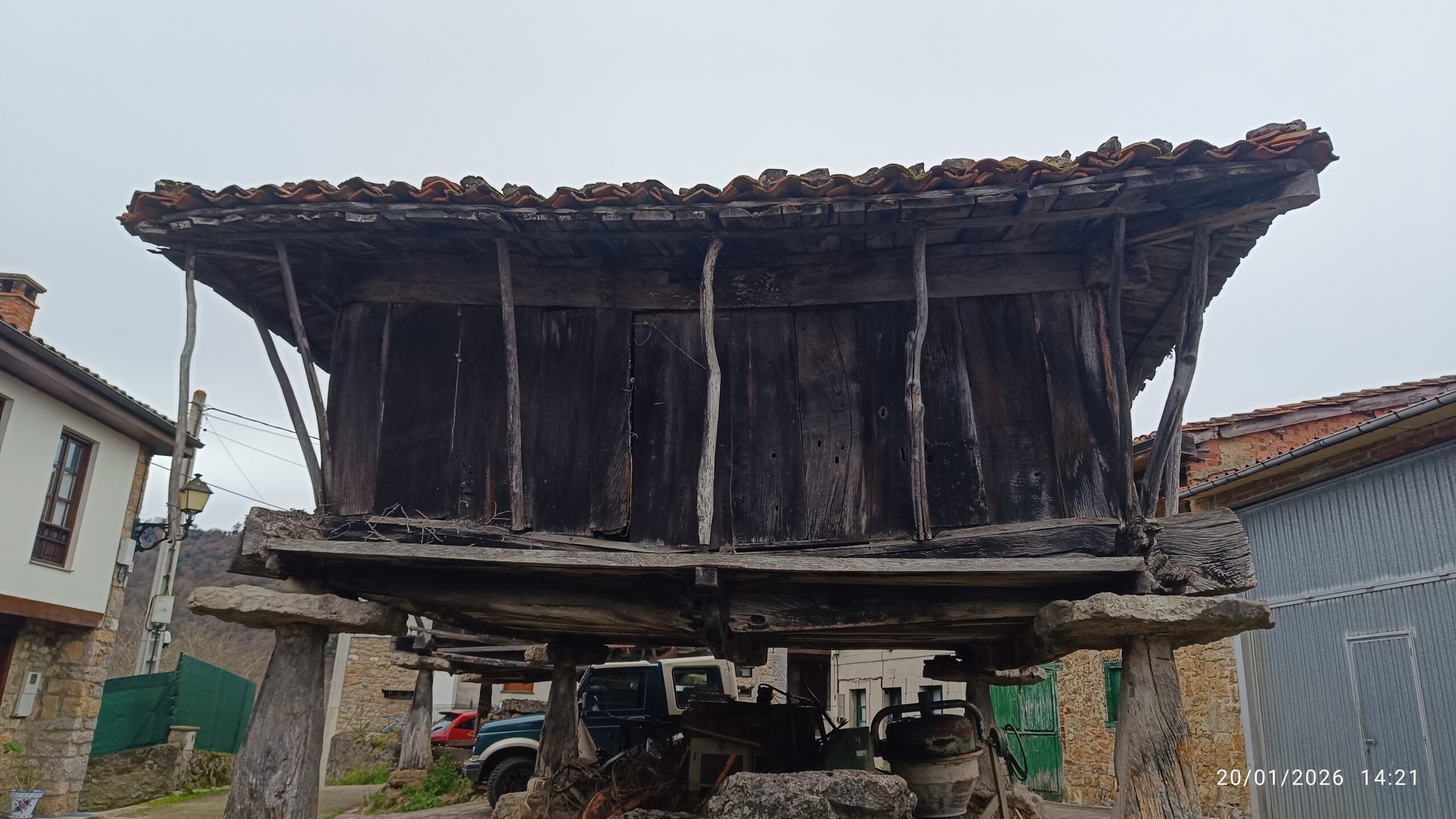 semeya-03-20.01.2026-horru.02.Campanal-Nava-