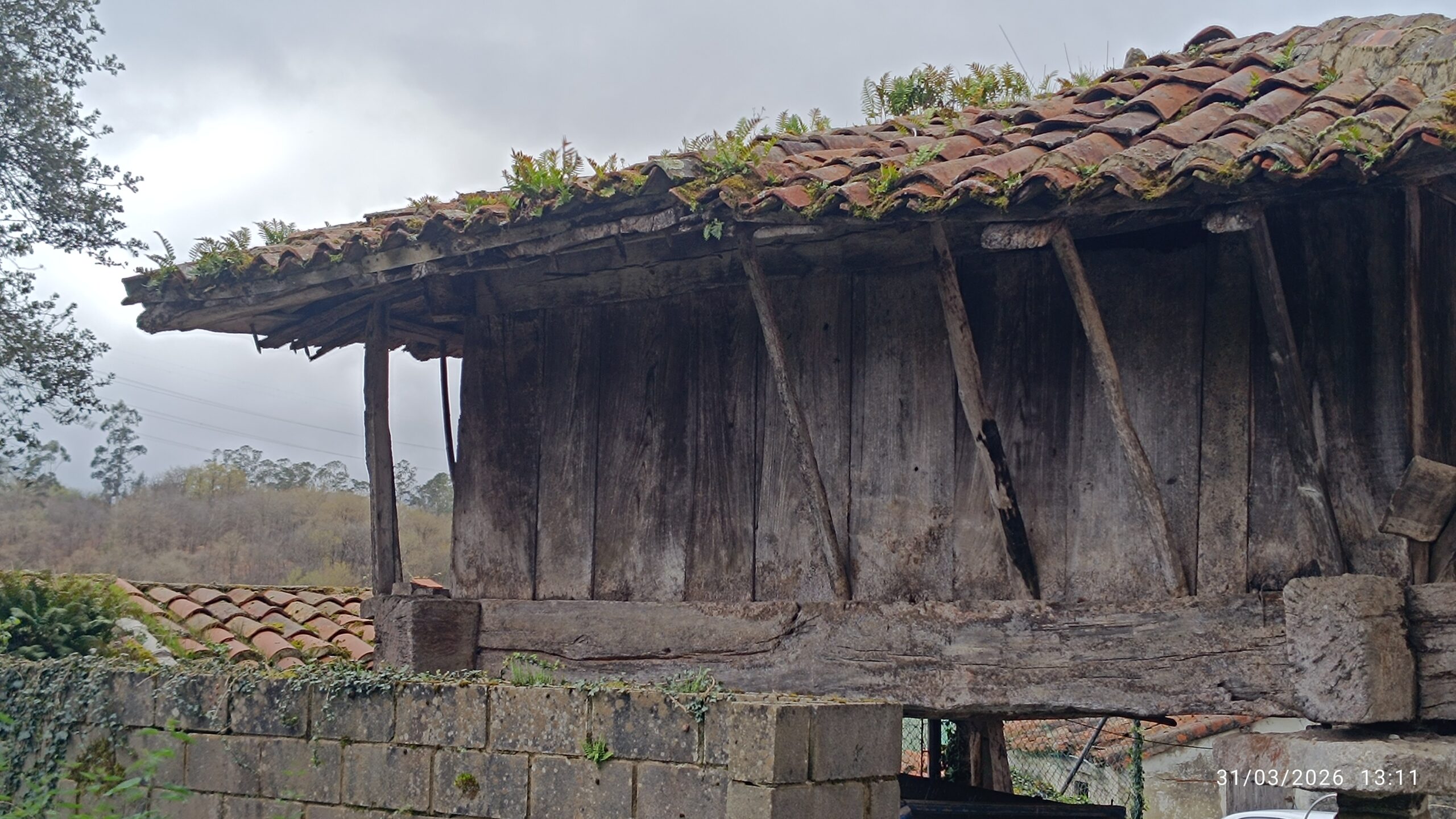semeya-03-31.03.2026-horru.03.ElRemediu-Nava-