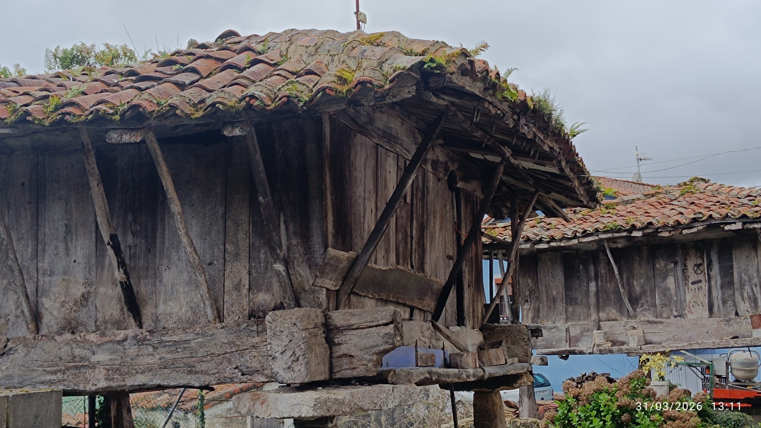 semeya-04-31.03.2026-horru.03.ElRemediu-Nava-