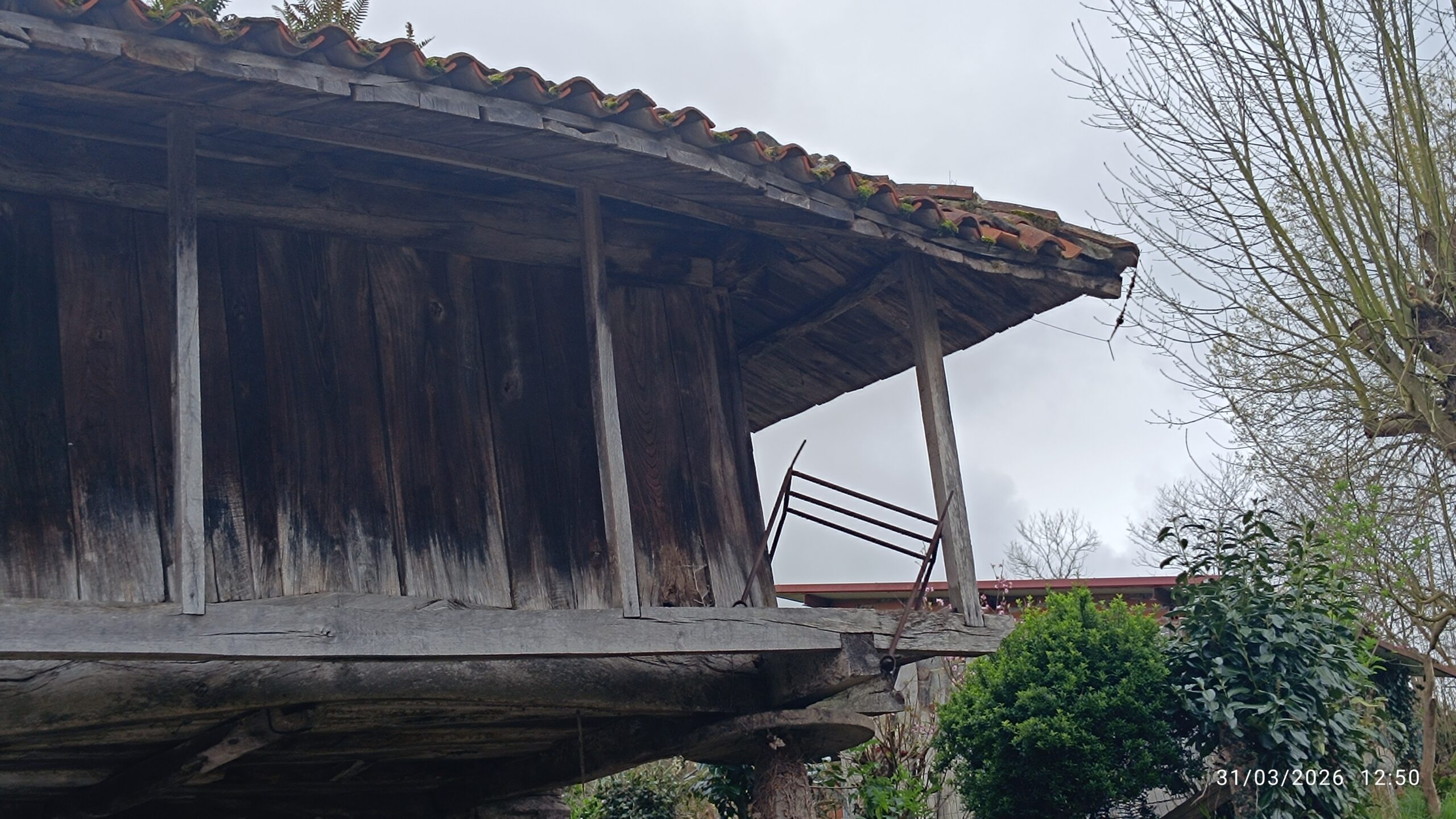 semeya-05-31.03.2026-horru.02.ElRemediu-Nava-