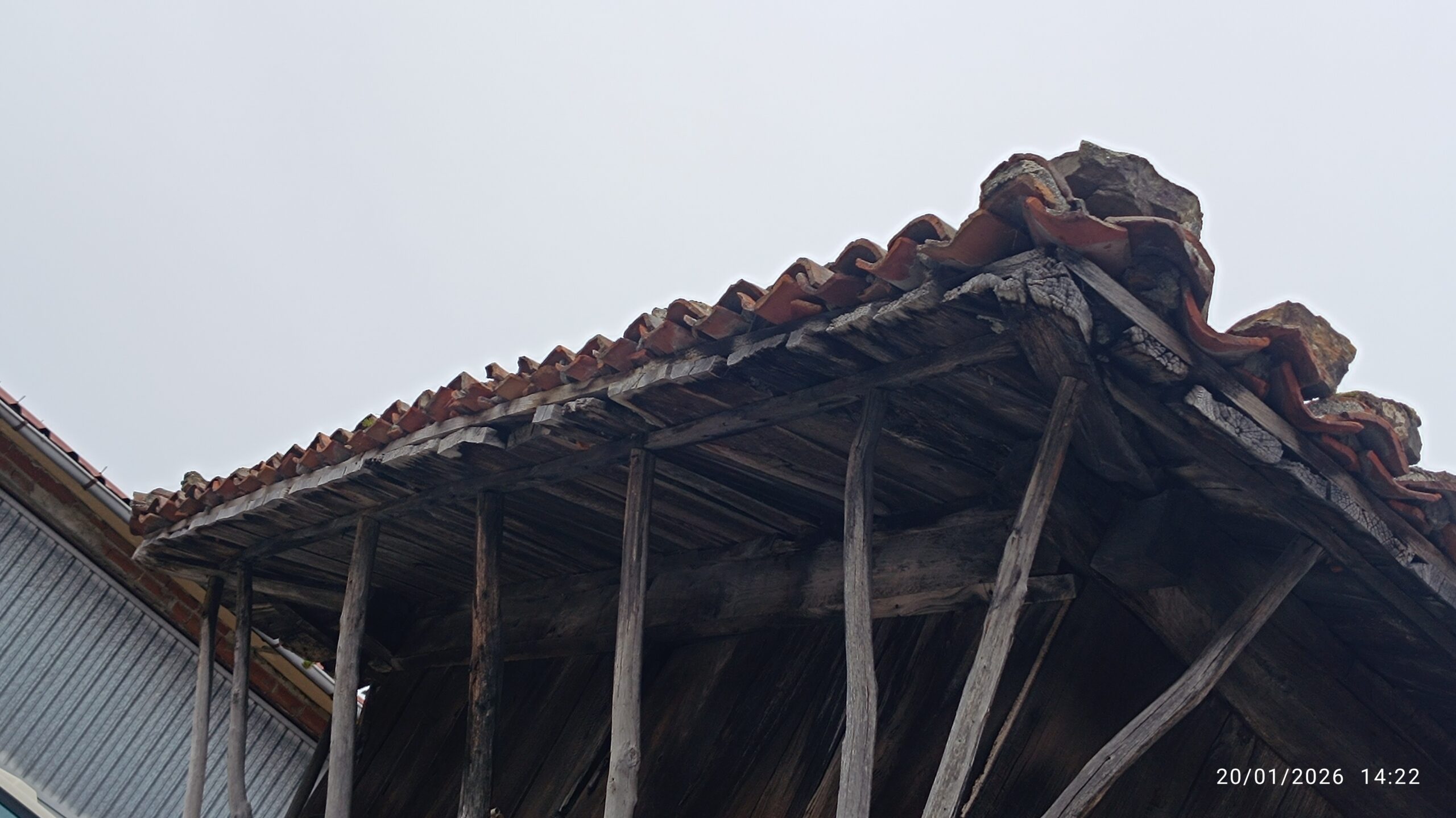 semeya-06-20.01.2026-horru.02.Campanal-Nava-
