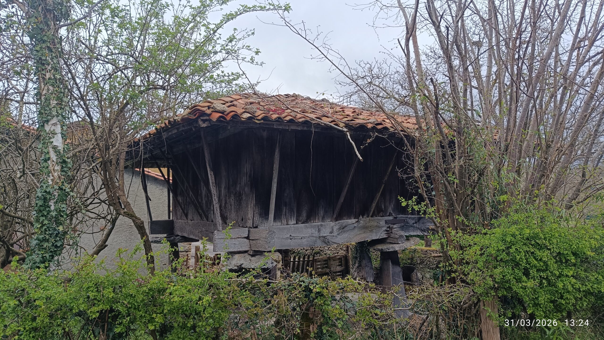 semeya-06-31.03.2026-panera.ElRemediu-Nava-